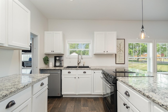 8015 Bloomer St, Carson City, MI 48811 - kitchen with black range with electric cooktop, dishwasher, dark wood-style floors, and healthy amount of natural light