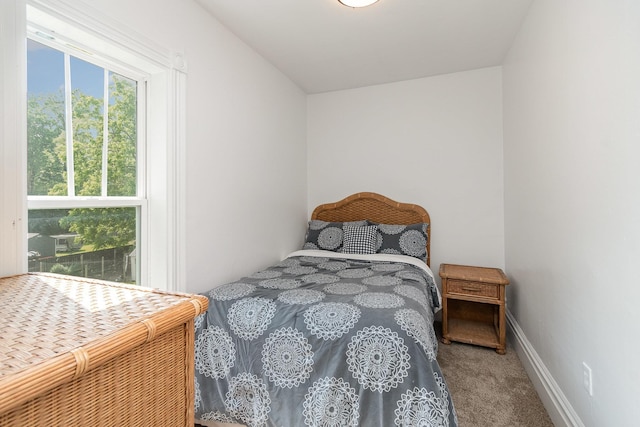 8015 Bloomer St, Carson City, MI 48811 - bedroom featuring carpet and baseboards
