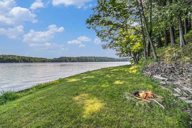 6253 Loggers Ln, Ludington, MI 49431 - water view with a fire pit and a forest