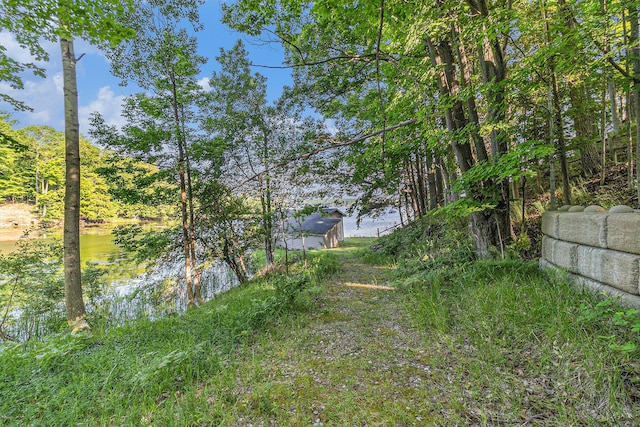 6253 Loggers Ln, Ludington, MI 49431 - view of yard