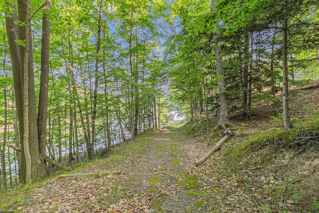 6253 Loggers Ln, Ludington, MI 49431 - view of nature