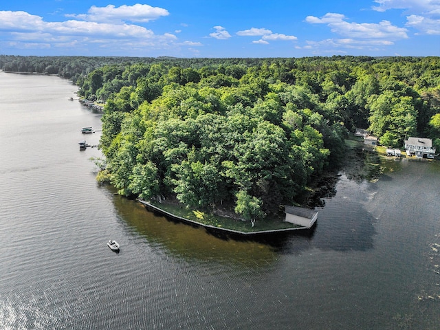 6253 Loggers Ln, Ludington, MI 49431 - drone / aerial view of a forest and a large body of water