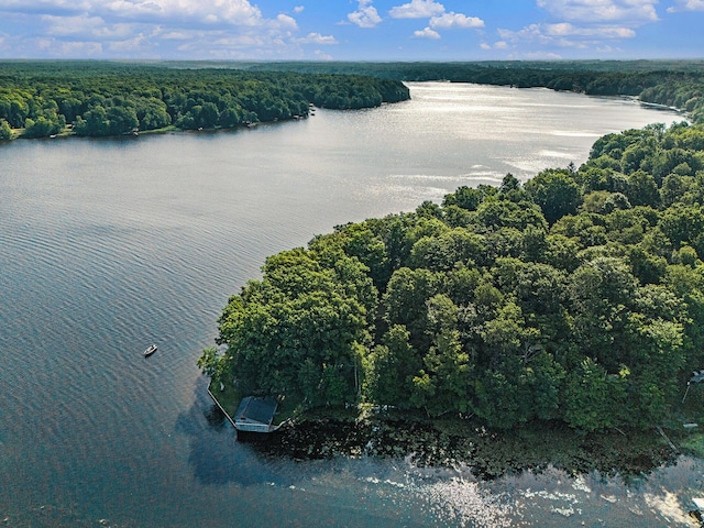 6253 Loggers Ln, Ludington, MI 49431 - drone / aerial view of a large body of water and a forest