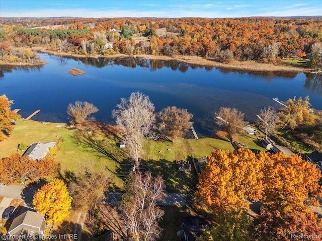 2231 N St, Milford, MI 48380 - aerial view of property and surrounding area featuring a nearby body of water