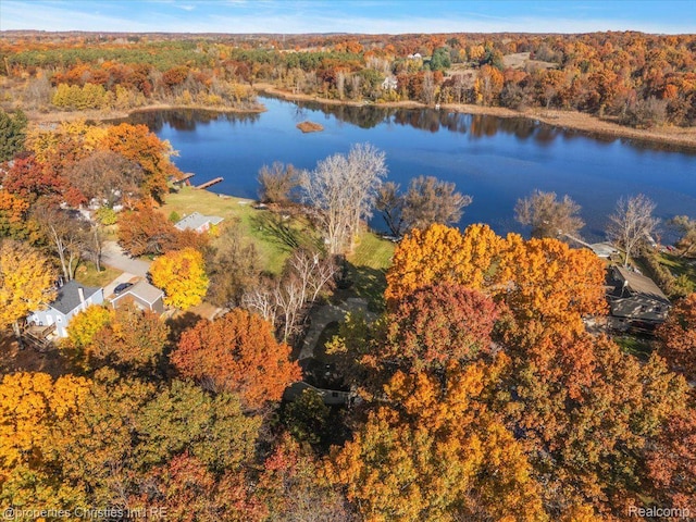 2231 N St, Milford, MI 48380 - view of property location with a large body of water