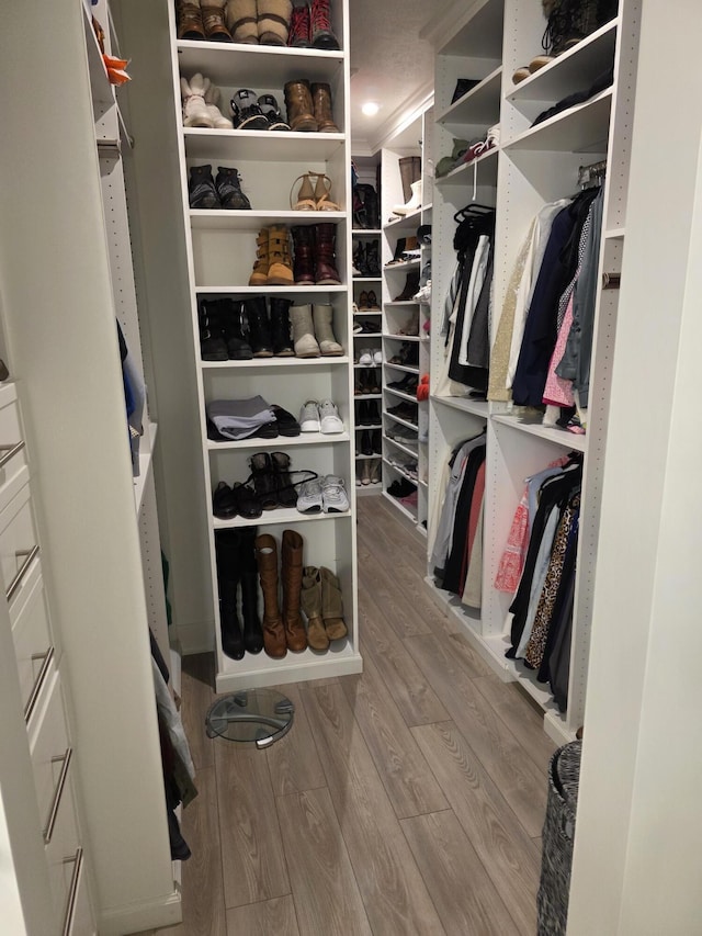 3076 Brayridge Dr, Jenison, MI 49428 - spacious closet featuring wood finished floors
