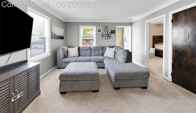 22410 Glen Ct, Saint Clair Shores, MI 48080 - living area with light carpet and baseboards