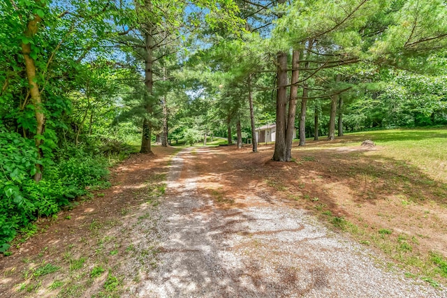 8700 W Montgomery Rd, Camden, MI 49232 - photo 37