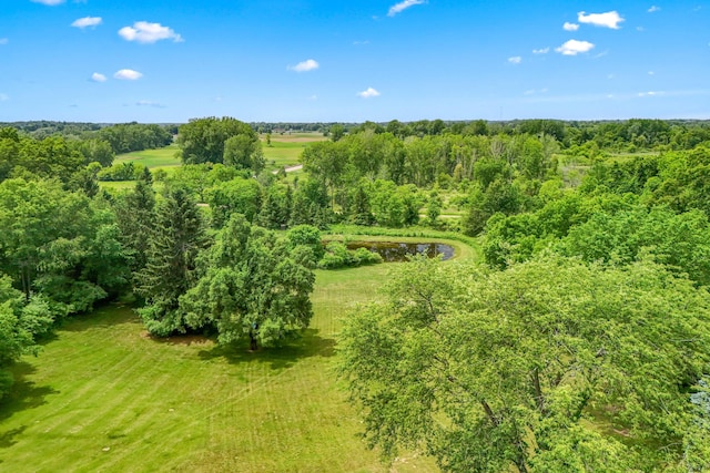 8700 W Montgomery Rd, Camden, MI 49232 - photo 4