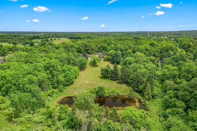 8700 W Montgomery Rd, Camden, MI 49232 - photo 44