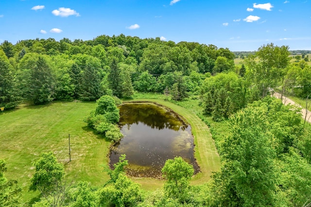 8700 W Montgomery Rd, Camden, MI 49232 - photo 40