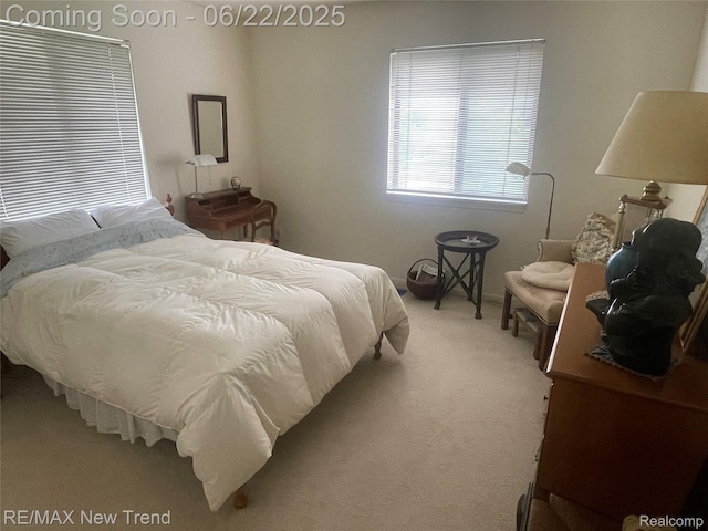 5408 Vincennes Dr, Bloomfield Hills, MI 48302 - bedroom with carpet