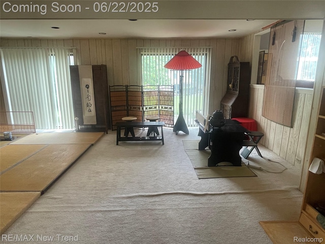 5408 Vincennes Dr, Bloomfield Hills, MI 48302 - living room featuring carpet and wood walls