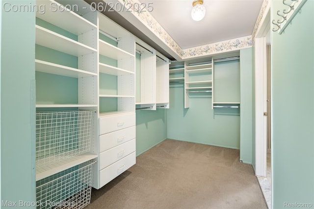 683 Thurber Dr, Troy, MI 48085 - walk in closet with carpet