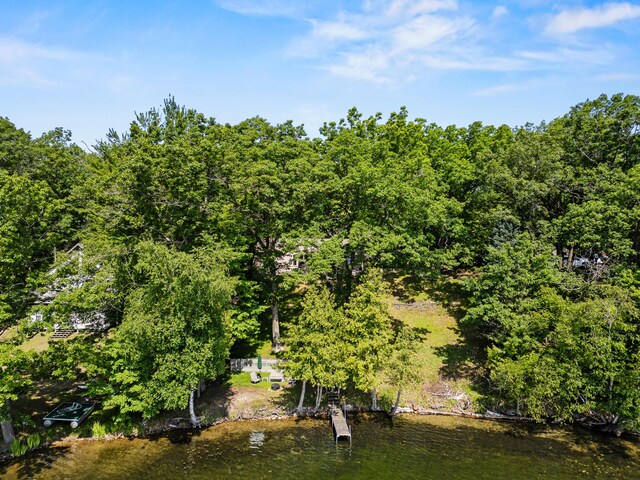 9898 S Pritchard Dr, Stanwood, MI 49346 - photo 4