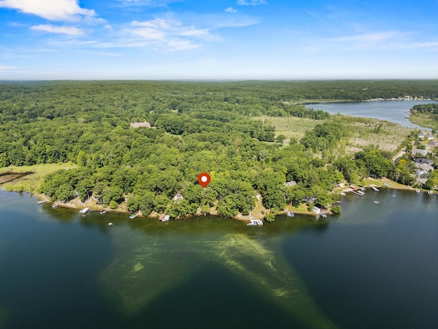 9898 S Pritchard Dr, Stanwood, MI 49346 - photo 48
