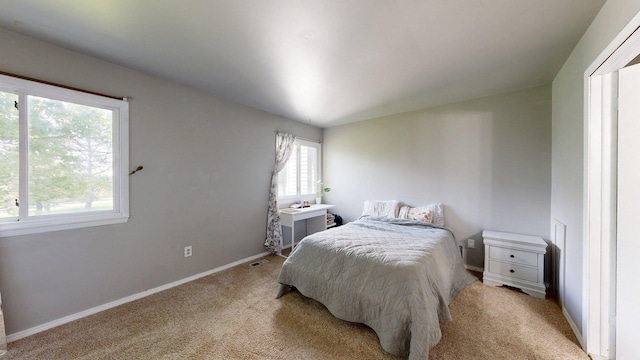 3126 Bolgos Cir, Ann Arbor, MI 48105 - bedroom featuring light colored carpet and baseboards