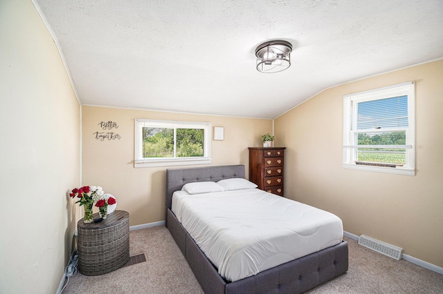 14711 White Creek Ave NE, Cedar Springs, MI 49319 - carpeted bedroom featuring vaulted ceiling and a textured ceiling
