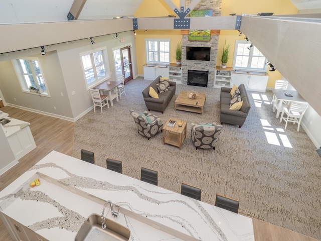 7207 Coreopsis Cv, Kalamazoo, MI 49009 - living area with wood finished floors, high vaulted ceiling, and a fireplace