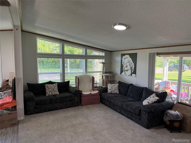27444 Bordeau Dr, Romulus, MI 48174 - living area featuring ornamental molding, a textured ceiling, and carpet floors