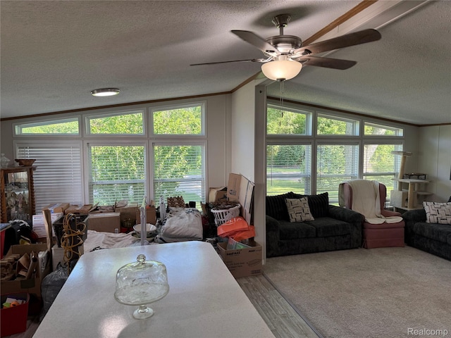 27444 Bordeau Dr, Romulus, MI 48174 - living area with a textured ceiling, lofted ceiling, crown molding, a ceiling fan, and wood finished floors
