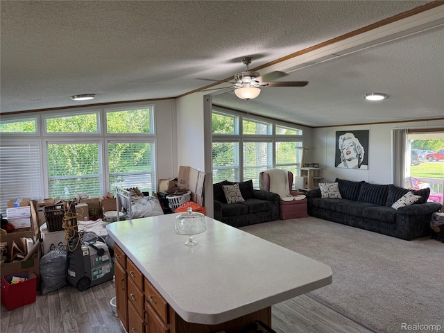 27444 Bordeau Dr, Romulus, MI 48174 - living room with a textured ceiling, a ceiling fan, lofted ceiling, crown molding, and wood finished floors