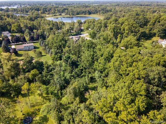 1920 Laflamme Ct, White Lake, MI 48386 - photo 5