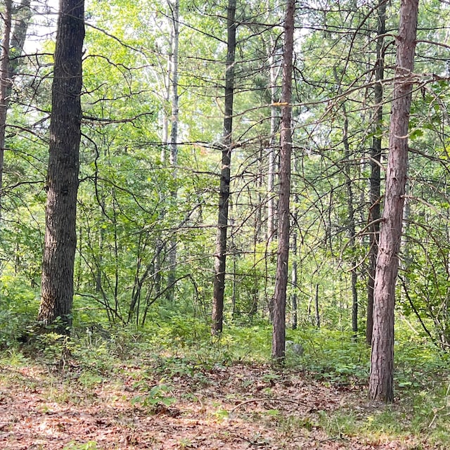 6539 Mattis Dr, Glennie, MI 48737 - view of wooded area