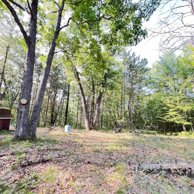 6539 Mattis Dr, Glennie, MI 48737 - view of yard