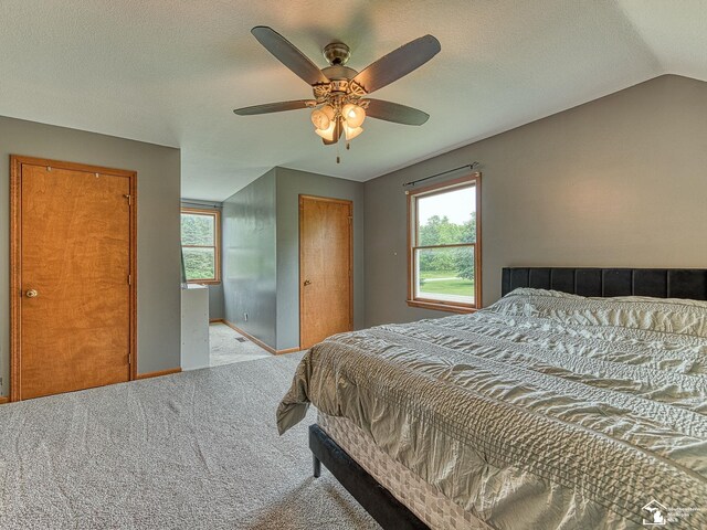 14825 Tunnicliffe Rd, Petersburg, MI 49270 - photo 16