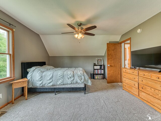 14825 Tunnicliffe Rd, Petersburg, MI 49270 - photo 17
