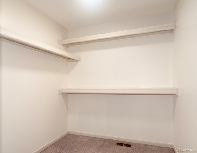 28475 Tiffin Dr, Chesterfield, MI 48047 - spacious closet featuring carpet floors
