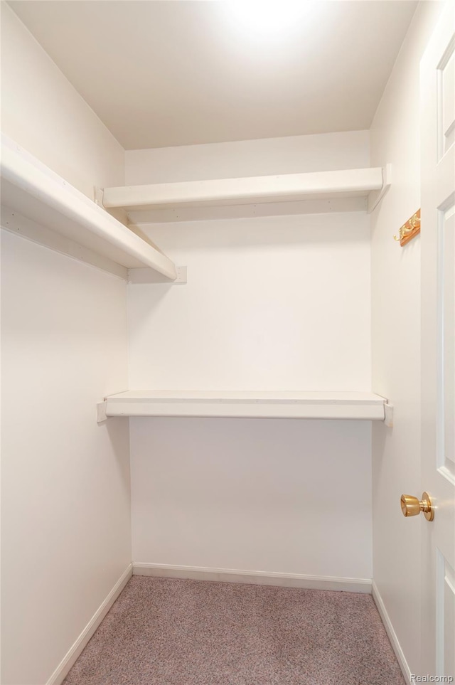 28475 Tiffin Dr, Chesterfield, MI 48047 - walk in closet with carpet