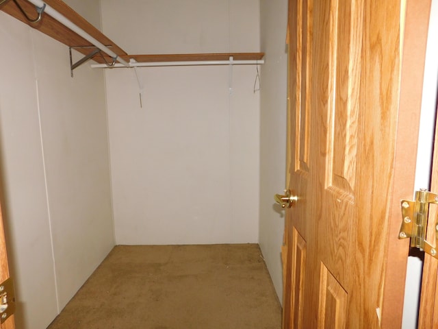 1240 Abbey Ln, Mount Pleasant, MI 48858 - spacious closet with carpet