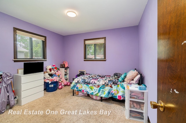 5178 Mangrove Dr, Saginaw, MI 48603 - view of carpeted bedroom
