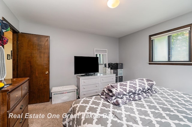 5178 Mangrove Dr, Saginaw, MI 48603 - bedroom featuring carpet flooring