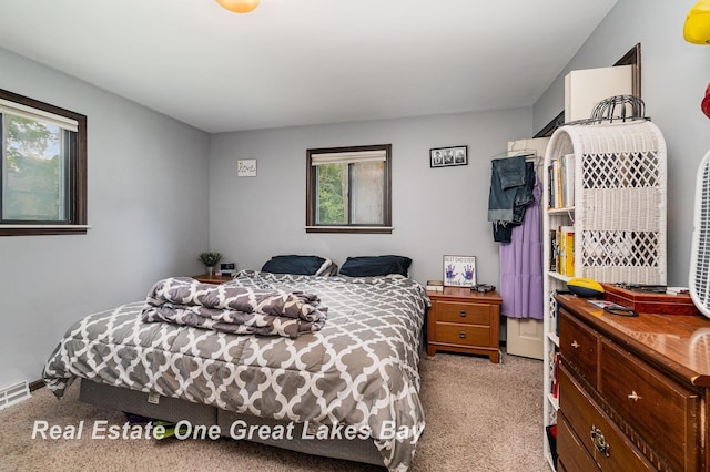 5178 Mangrove Dr, Saginaw, MI 48603 - bedroom featuring light colored carpet and multiple windows