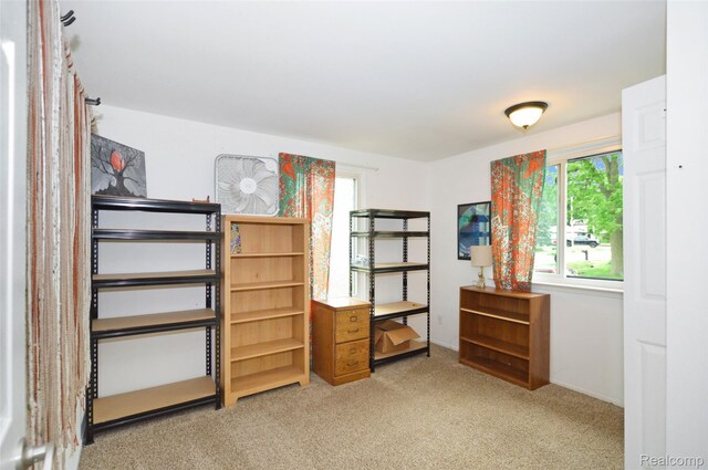 3851 Mapleleaf Rd, Waterford, MI 48328 - bedroom with carpet floors