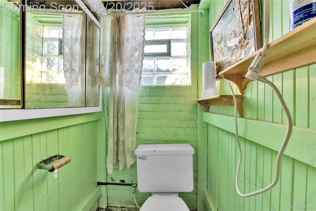 2429 Holmes St, Hamtramck, MI 48212 - bathroom with plenty of natural light