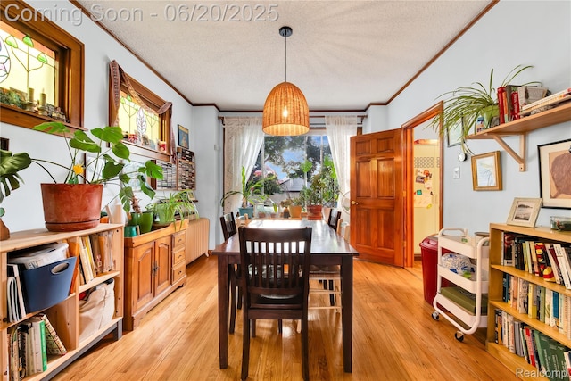 2429 Holmes St, Hamtramck, MI 48212 - dining room featuring crown molding, radiator heating unit, a textured ceiling, and light wood finished floors