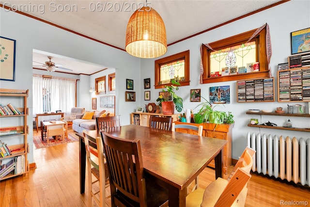 2429 Holmes St, Hamtramck, MI 48212 - dining area featuring radiator, ornamental molding, wood finished floors, a ceiling fan, and a textured ceiling