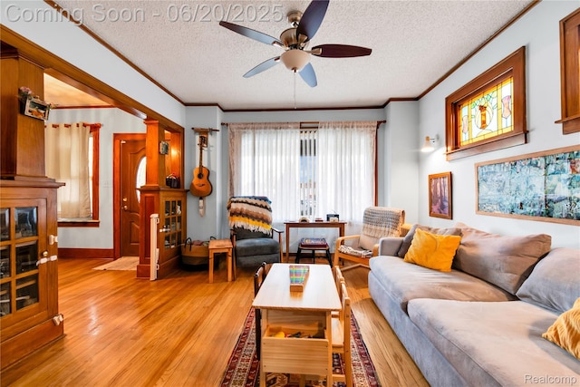 2429 Holmes St, Hamtramck, MI 48212 - living room featuring a ceiling fan, a textured ceiling, light wood finished floors, and ornamental molding