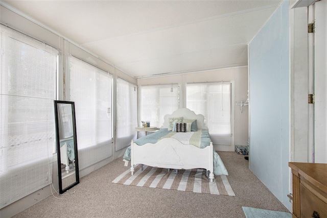 105 Clark St, Buchanan, MI 49107 - bedroom featuring carpet floors