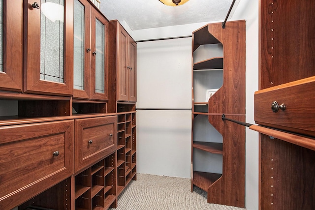 105 Clark St, Buchanan, MI 49107 - spacious closet featuring carpet