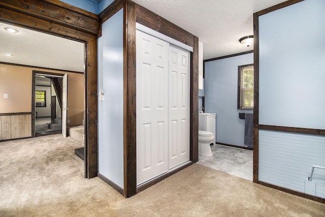 207 E Jefferson St, Cassopolis, MI 49031 - hall featuring light carpet, a textured ceiling, ornamental molding, healthy amount of natural light, and stairs
