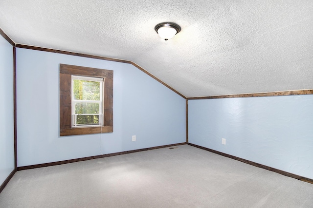 207 E Jefferson St, Cassopolis, MI 49031 - bonus room featuring a textured ceiling, lofted ceiling, and carpet floors