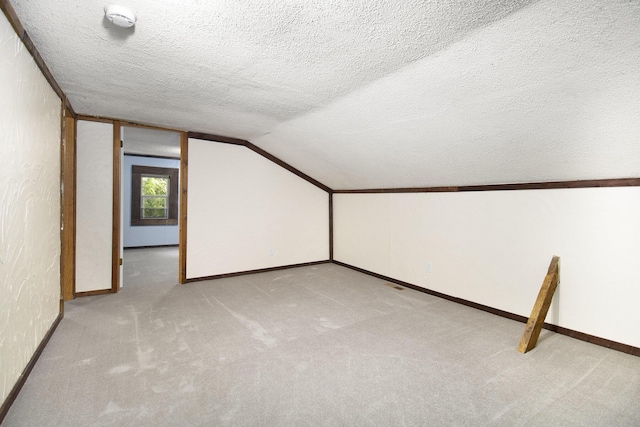 207 E Jefferson St, Cassopolis, MI 49031 - additional living space featuring lofted ceiling, carpet flooring, and a textured ceiling