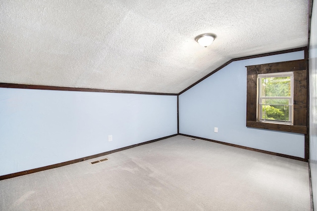 207 E Jefferson St, Cassopolis, MI 49031 - additional living space with a textured ceiling, vaulted ceiling, and carpet flooring