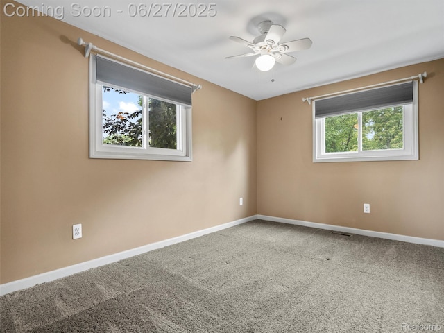 23819 Hazelwood Ave, Hazel Park, MI 48030 - photo 27