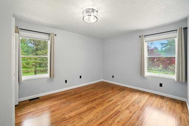 2350 155th Ave, Morley, MI 49336 - unfurnished room featuring plenty of natural light, a textured ceiling, and light wood-type flooring